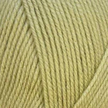Stylecraft special DK 2173 Mushy Peas, Ophalen of Verzenden, Nieuw, Breien of Haken, Wol of Garen