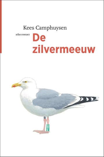 De Zilvermeeuw | Kees Camphuysen | Nieuw, Ophalen of Verzenden, Nieuw, Kees Camphuysen