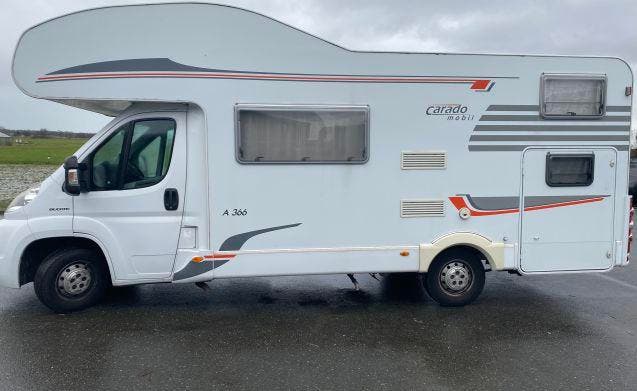 6 pers. Fiat camper huren in Hillegom? Vanaf € 84 p.d. - Gob, Caravans en Kamperen, Verhuur