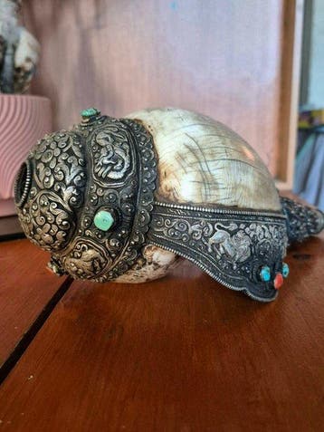 Tibetaanse rituele schelp (Dungkhar) - Tibet, Antiek en Kunst