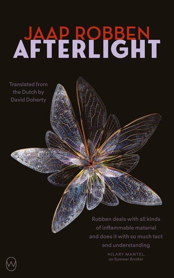 9781642861471 Afterlight Jaap Robben, Boeken, Verzenden, Nieuw, Jaap Robben