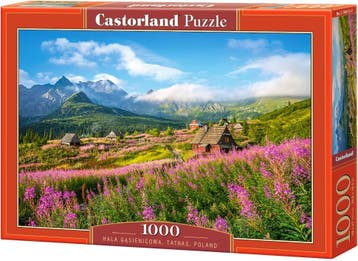 Hala Gasienicowa,Tatras Puzzel (1000 stukjes) | Castorland -, Verzenden, Nieuw
