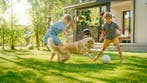 Sport en speel Graszoden, Tuin en Terras, Planten | Tuinplanten