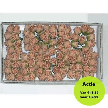 Mini Foam Roos Sand 2 cm Doosje 144 stuks, Ophalen of Verzenden, Nieuw