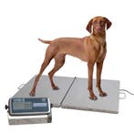 MyWeigh VHD-3 Dierenweegschaal 300kg x 100g, Verzenden, Nieuw