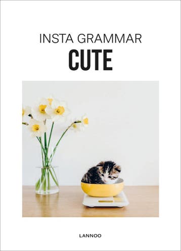 Insta Grammar Cute 9789401454384 Irene Schampaert, Verzenden, Zo goed als nieuw, Irene Schampaert