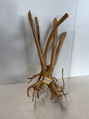 Boutique Stump Selected BS274 - 60x30x28cm (Natuurlijk hout), Ophalen of Verzenden, Nieuw, Plant(en), Steen of Hout