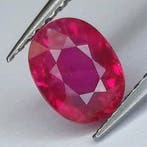 Rood Robijn - 1.11 ct - Antwerp Laboratory for Gemstone, Sieraden, Tassen en Uiterlijk, Edelstenen, Nieuw