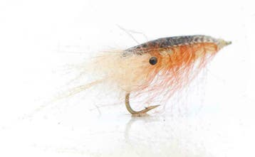 NIEUWE ZEEFOREL VLIEGEN, Klik naar E10 Flyfishing!, Verzenden, Nieuw, Overige typen