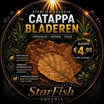 Catappa bladeren, Ophalen of Verzenden, Nieuw