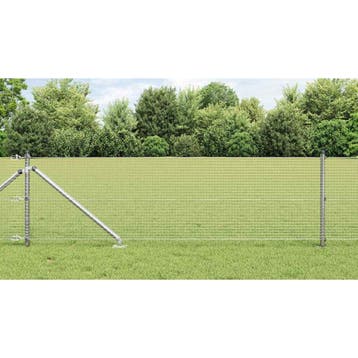 vidaXL gelast draadhek met grondpennen 100 x 0,6 m, Verzenden, Nieuw, IJzer
