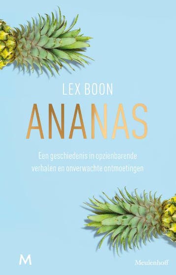 Ananas - Lex Boon 9789029092364, Verzenden, Gelezen, Lex Boon