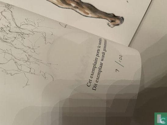 Huppen, Hermann - Hermann vrouwen 1 - 2024, Boeken, Prentenboeken en Plaatjesalbums, Zo goed als nieuw, Verzenden