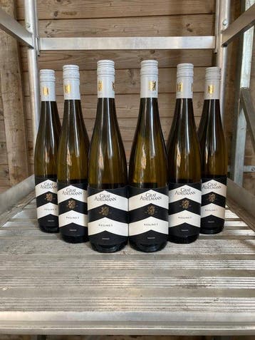 2020 Graf Adelmann Riesling S - Würtemberg Deutscher, Nieuw