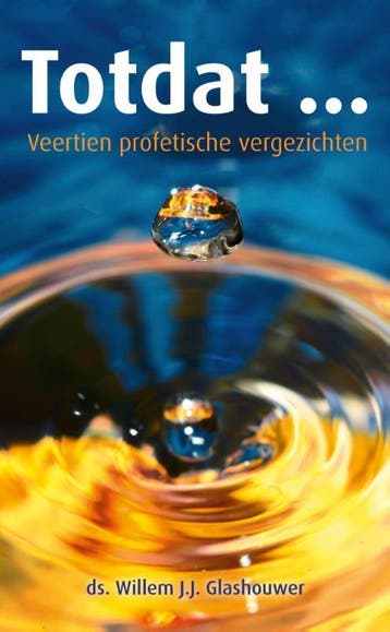 Totdat ... 9789088971624 Willem J.J. Glashouwer, Boeken, Verzenden, Gelezen, Willem J.J. Glashouwer