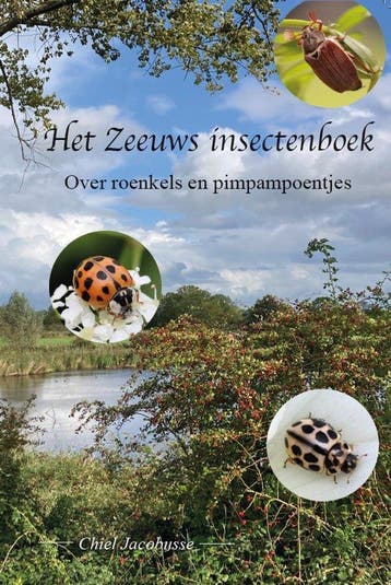9789083528274 Het Zeeuws insectenboek Chiel Jacobusse, Verzenden, Nieuw, Chiel Jacobusse