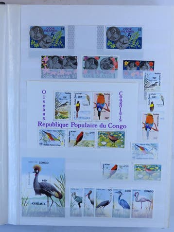 Vogels uitgebreide verzameling in 2 dikke boeken en kaartjes, Postzegels en Munten, Ophalen of Verzenden