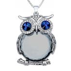 Fako Bijoux - Ketting - Uil - Spiegel XXL - Grijs, Verzenden, Nieuw