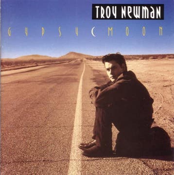 cd - Troy Newman - Gypsy Moon, Verzenden, Zo goed als nieuw