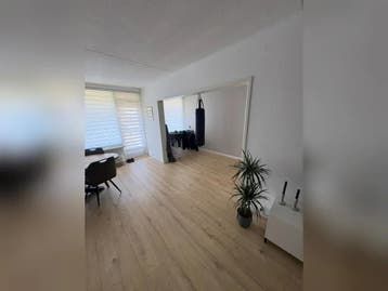 Te huur: Appartement Steenvoordelaan in Rijswijk, Appartement, Zuid-Holland, Rijswijk