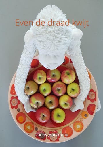 Even De Draad Kwijt | Danny Hartkamp | Nieuw, Ophalen of Verzenden, Nieuw, Danny Hartkamp