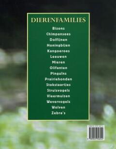 Leeuwen / Dierenfamilies - J. Woodward 9789054956044, Verzenden, Zo goed als nieuw, J. Woodward