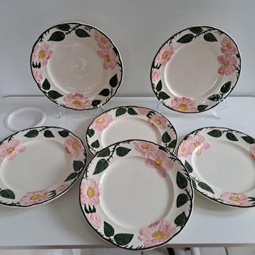 Villeroy & Boch - Ontbijtbord (6) - Wild-Rose -