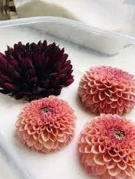 Silicagel prepareerzout voor het drogen van bloemen 3-5 mm, Ophalen of Verzenden, Nieuw