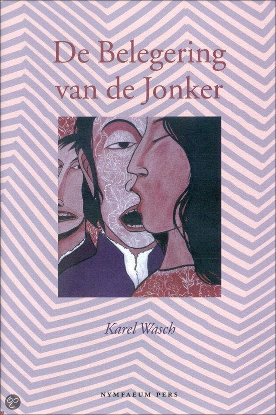De belegering van de jonker, Boeken, Literatuur, Ophalen of Verzenden