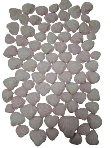 Chippy Pastel schelpen Pink washed 1 kilo, Ophalen of Verzenden, Nieuw