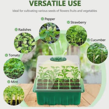 12-Vaks Kweekbak met Kap voor Zaaien en Succulenten - Geïsol, Tuin en Terras, Verzenden, Nieuw