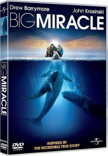 dvd film - Big Miracle (Import) - Big Miracle (Import), Verzenden, Zo goed als nieuw