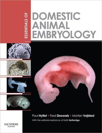 Boek Essentials Of Domestic Animal Embryology 9780702028991, Verzenden, Zo goed als nieuw