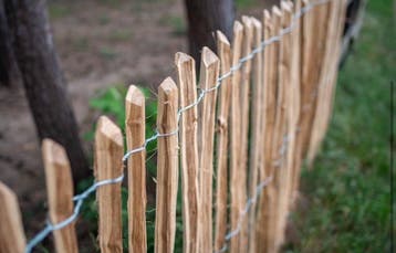 2st 100cm ROBINIA HOUT SCHAPENHEKEN duurzaam 3-6cm, Ophalen of Verzenden, Nieuw, Met poort