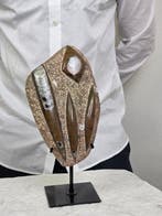 Orthoceras/ammoniet - Gefossiliseerd dier - 23 cm - 13 cm