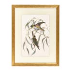 Fotolijst Tropez Goud 40x60 cm, Nieuw