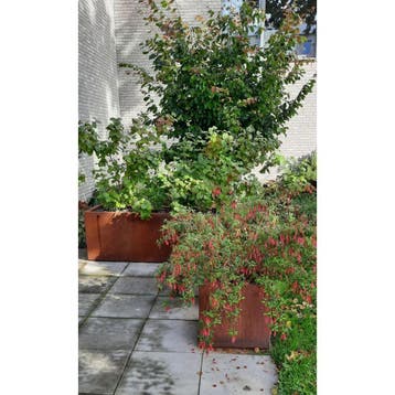 Geroba Artesa B22 rechthoekige plantenbak 1000x400x400mm -, Verzenden, Nieuw