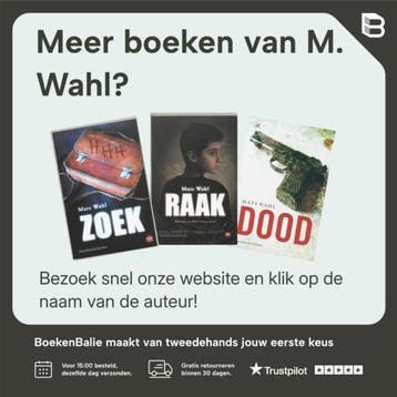 Winterbaai / Davidsfonds/Infodok-jeugd - M. Wahl, Boeken, Verzenden, Zo goed als nieuw, M. Wahl