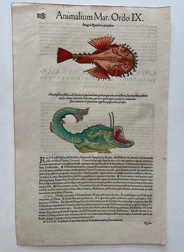 Conrad Gesner - Icones animalium quadrupedum uiuiparorum et