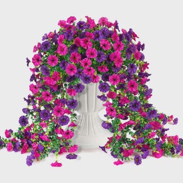Hangende Kunstbloemen Slanke Winde (Ochtendgloren) - Decorat, Verzenden