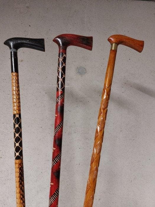 Wandelstok (3) - Hout, Antiek en Kunst, Kunst | Designobjecten