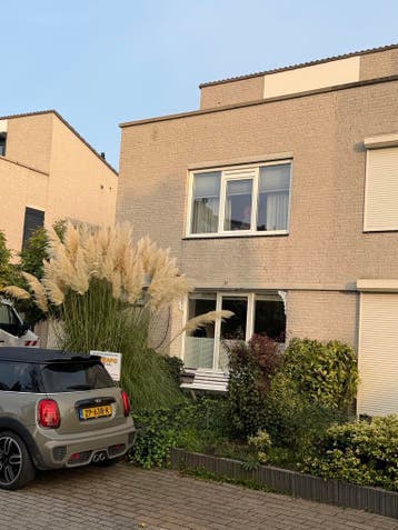 Gevelreiniging / impregneren / softwash, Voegwerk