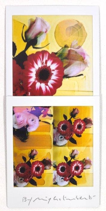 Maurizio Galimberti (1956–) - BiFlowers - 11602