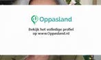 Linda zoekt een oppas in Lent.