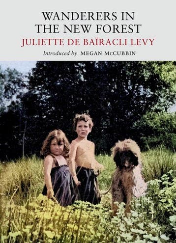 9781915068187 Wanderers In The New Forest, Verzenden, Nieuw, Juliette De Bairacli Levy