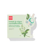 HEMA Kweek je eigen cocktailkruiden, Tuin en Terras, Kweekspullen, Verzenden, Nieuw