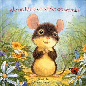 Kleine Muis Ontdekt De Wereld - Gillian Lobel 9781445449319, Boeken, Verzenden, Gelezen, Gillian Lobel