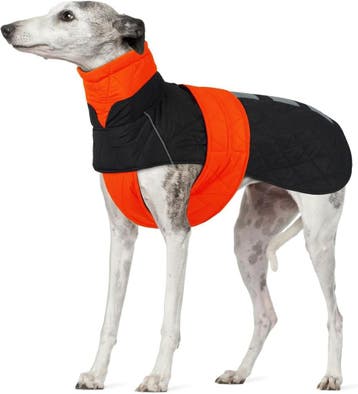 Hondenjas Fleece voor Lurcher | XL | Laatste Stuk!, Ophalen of Verzenden, Zo goed als nieuw, Hondenjas