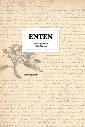 Enten | Peter Weyns | Nieuw, Ophalen of Verzenden, Nieuw, Peter Weyns