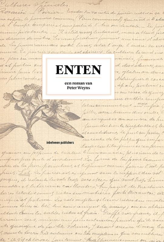 Enten | Peter Weyns | Nieuw, Boeken, Literatuur, Nieuw, Ophalen of Verzenden